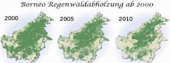 Regenwald-Abholzung_Borneo von 2000-2010